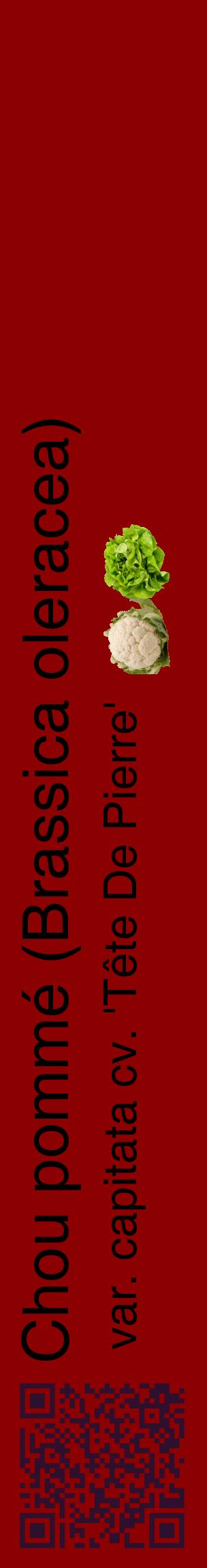 Étiquette de : Brassica oleracea var. capitata cv. 'Tête De Pierre' - format c - style noire34_basiquehel avec qrcode et comestibilité simplifiée