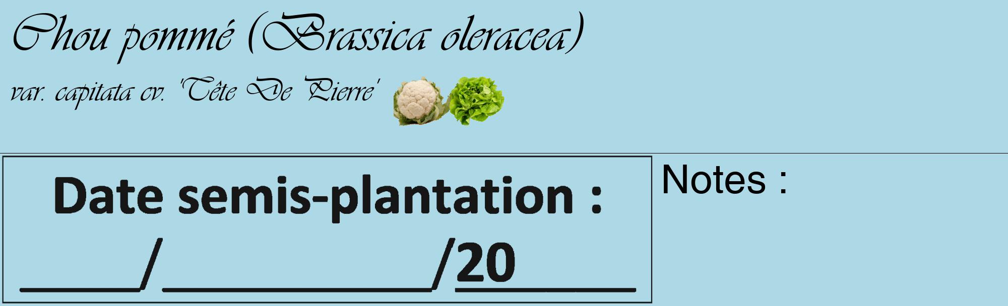 Étiquette de : Brassica oleracea var. capitata cv. 'Tête De Pierre' - format c - style noire0_basique_basiqueviv avec comestibilité simplifiée