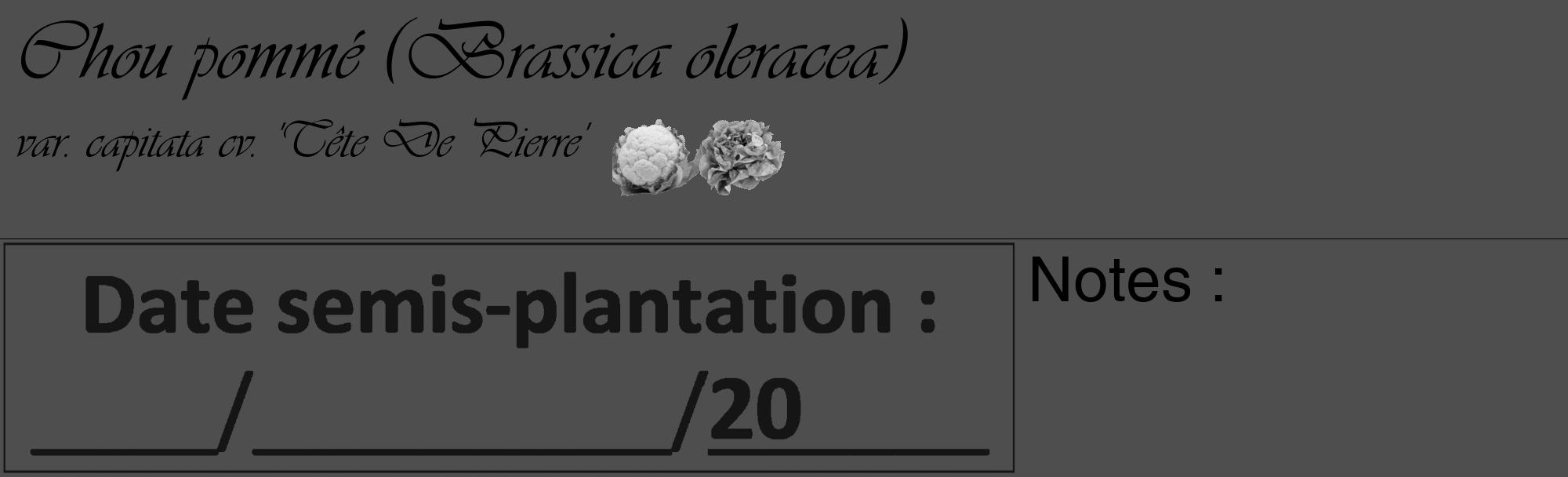 Étiquette de : Brassica oleracea var. capitata cv. 'Tête De Pierre' - format c - style noire33_basique_basiqueviv avec comestibilité simplifiée