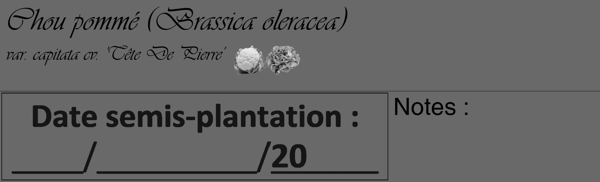 Étiquette de : Brassica oleracea var. capitata cv. 'Tête De Pierre' - format c - style noire51basique_basique_basiqueviv avec comestibilité simplifiée