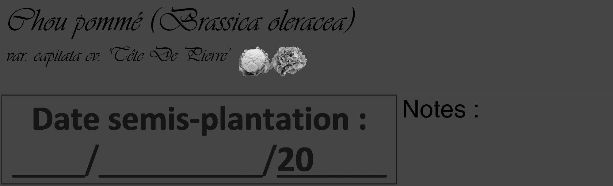 Étiquette de : Brassica oleracea var. capitata cv. 'Tête De Pierre' - format c - style noire58_basique_basiqueviv avec comestibilité simplifiée