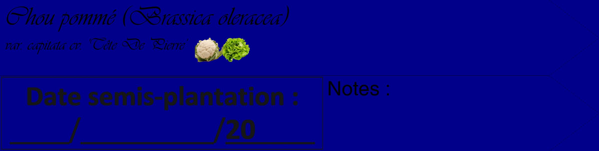 Étiquette de : Brassica oleracea var. capitata cv. 'Tête De Pierre' - format c - style noire7_simple_simpleviv avec comestibilité simplifiée