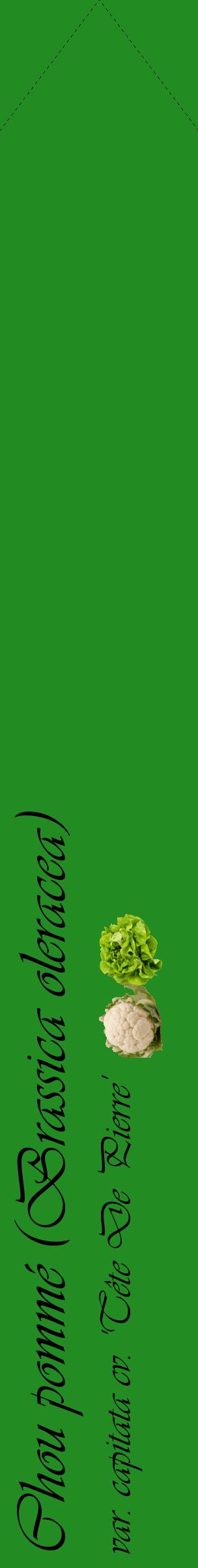 Étiquette de : Brassica oleracea var. capitata cv. 'Tête De Pierre' - format c - style noire10_simpleviv avec comestibilité simplifiée