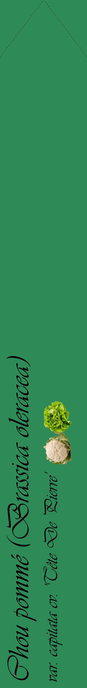 Étiquette de : Brassica oleracea var. capitata cv. 'Tête De Pierre' - format c - style noire11_simpleviv avec comestibilité simplifiée