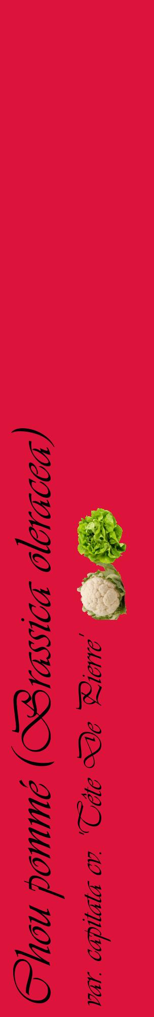 Étiquette de : Brassica oleracea var. capitata cv. 'Tête De Pierre' - format c - style noire36_basiqueviv avec comestibilité simplifiée