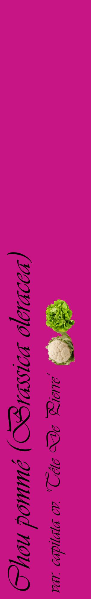Étiquette de : Brassica oleracea var. capitata cv. 'Tête De Pierre' - format c - style noire45_basiqueviv avec comestibilité simplifiée