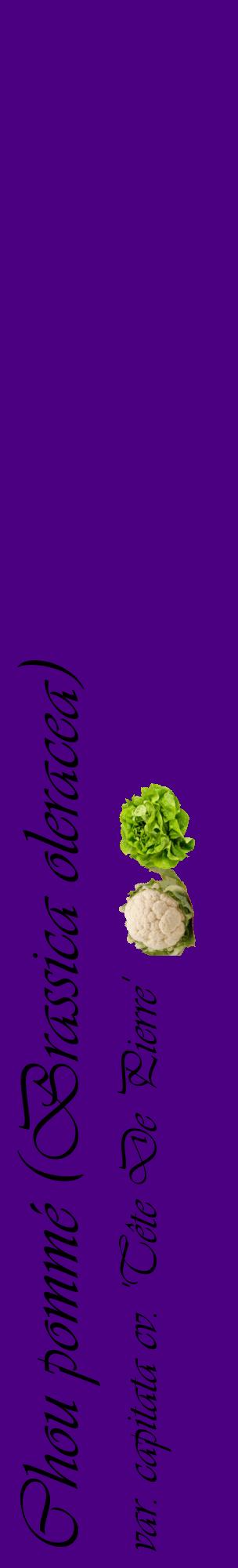 Étiquette de : Brassica oleracea var. capitata cv. 'Tête De Pierre' - format c - style noire47_basiqueviv avec comestibilité simplifiée