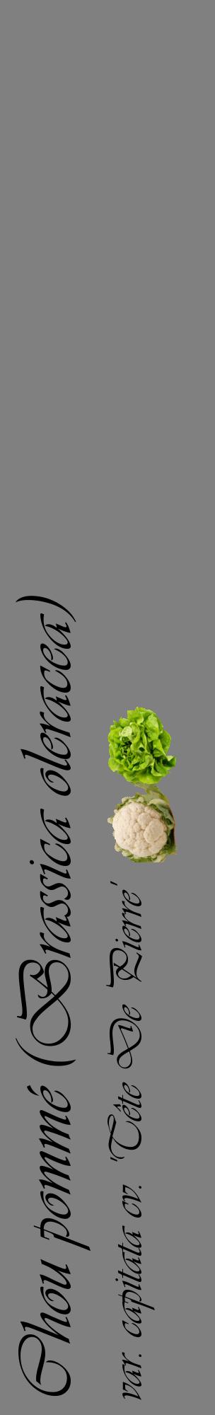 Étiquette de : Brassica oleracea var. capitata cv. 'Tête De Pierre' - format c - style noire57_basiqueviv avec comestibilité simplifiée