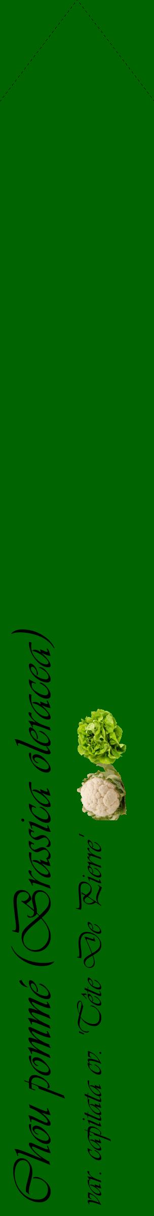 Étiquette de : Brassica oleracea var. capitata cv. 'Tête De Pierre' - format c - style noire8_simpleviv avec comestibilité simplifiée