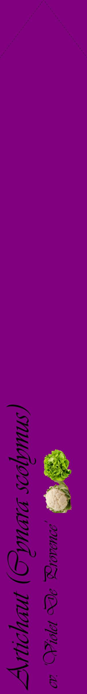 Étiquette de : Cynara scolymus cv. 'Violet De Provence' - format c - style noire46_simpleviv avec comestibilité simplifiée