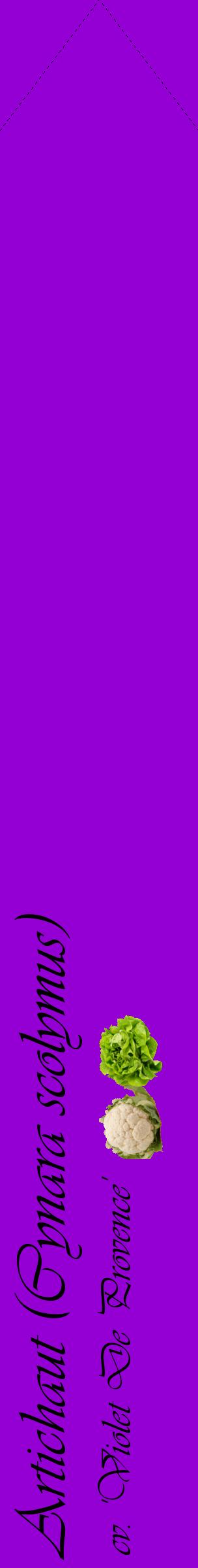 Étiquette de : Cynara scolymus cv. 'Violet De Provence' - format c - style noire48_simpleviv avec comestibilité simplifiée