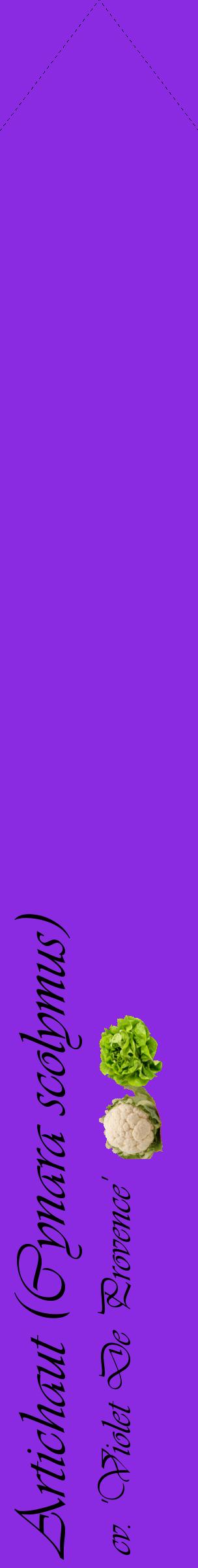 Étiquette de : Cynara scolymus cv. 'Violet De Provence' - format c - style noire49_simpleviv avec comestibilité simplifiée