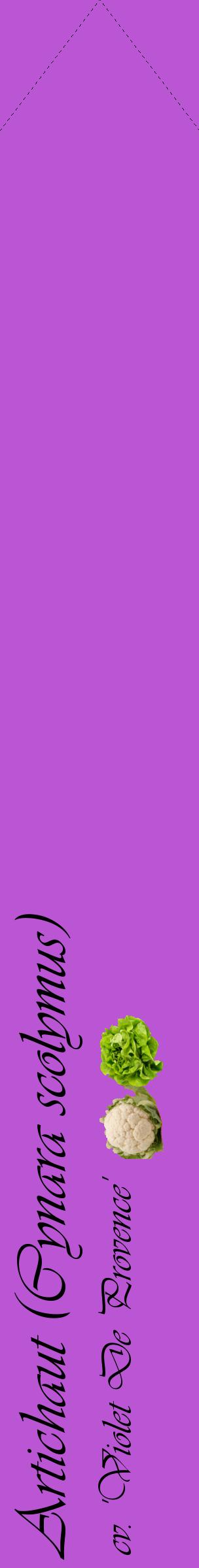 Étiquette de : Cynara scolymus cv. 'Violet De Provence' - format c - style noire50_simpleviv avec comestibilité simplifiée