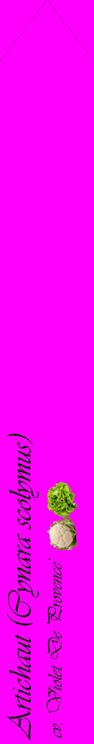 Étiquette de : Cynara scolymus cv. 'Violet De Provence' - format c - style noire51_simpleviv avec comestibilité simplifiée