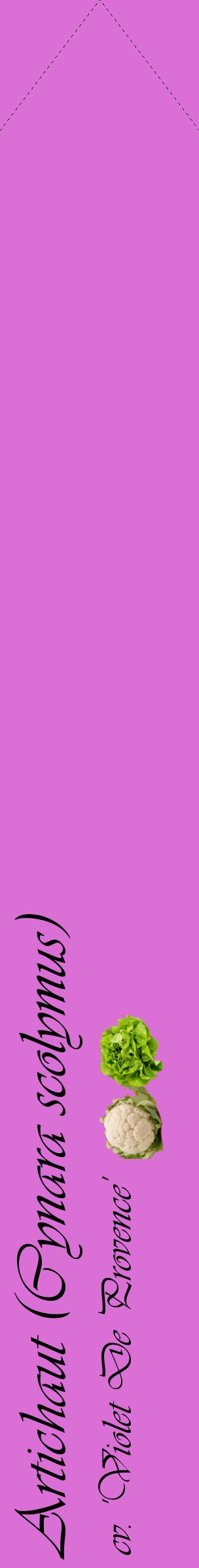 Étiquette de : Cynara scolymus cv. 'Violet De Provence' - format c - style noire52_simpleviv avec comestibilité simplifiée