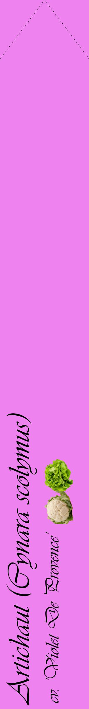 Étiquette de : Cynara scolymus cv. 'Violet De Provence' - format c - style noire53_simpleviv avec comestibilité simplifiée