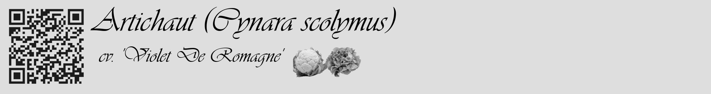 Étiquette de : Cynara scolymus cv. 'Violet De Romagne' - format c - style noire20basique_basique_basiqueviv avec qrcode et comestibilité simplifiée