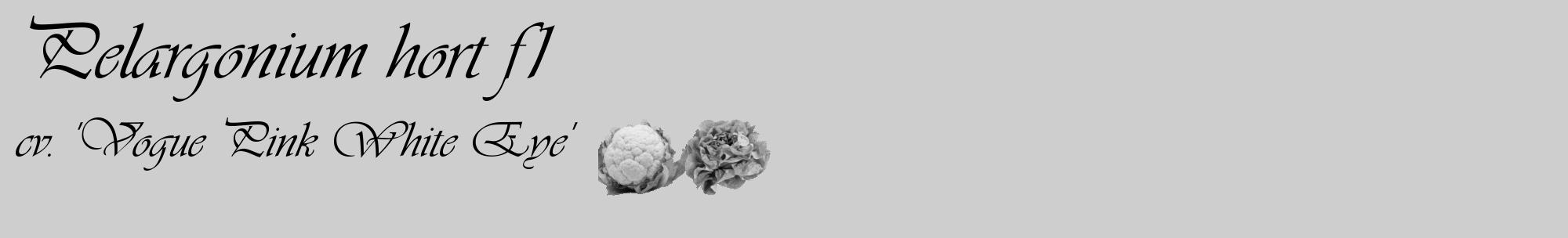 Étiquette de : Pelargonium hort f1 cv. 'Vogue Pink White Eye' - format c - style noire17basique_basique_basiqueviv avec comestibilité simplifiée