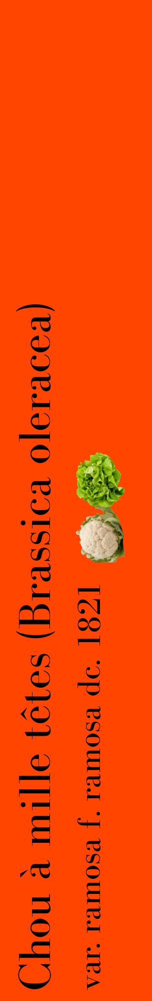 Étiquette de : Brassica oleracea var. ramosa f. ramosa dc. 1821 - format c - style noire26_basiquebod avec comestibilité simplifiée