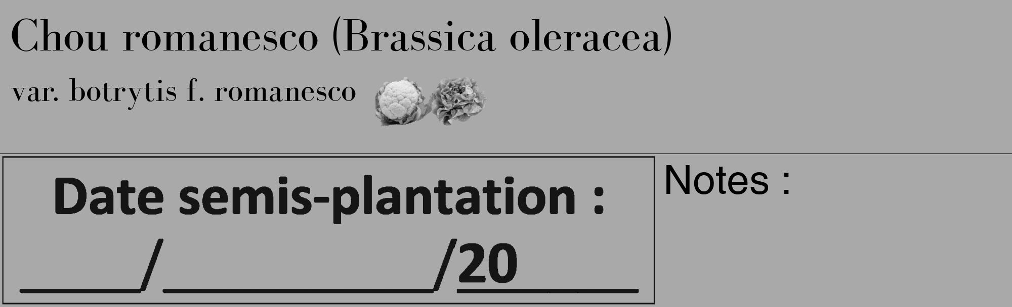 Étiquette de : Brassica oleracea var. botrytis f. romanesco - format c - style noire13_basique_basiquebod avec comestibilité simplifiée