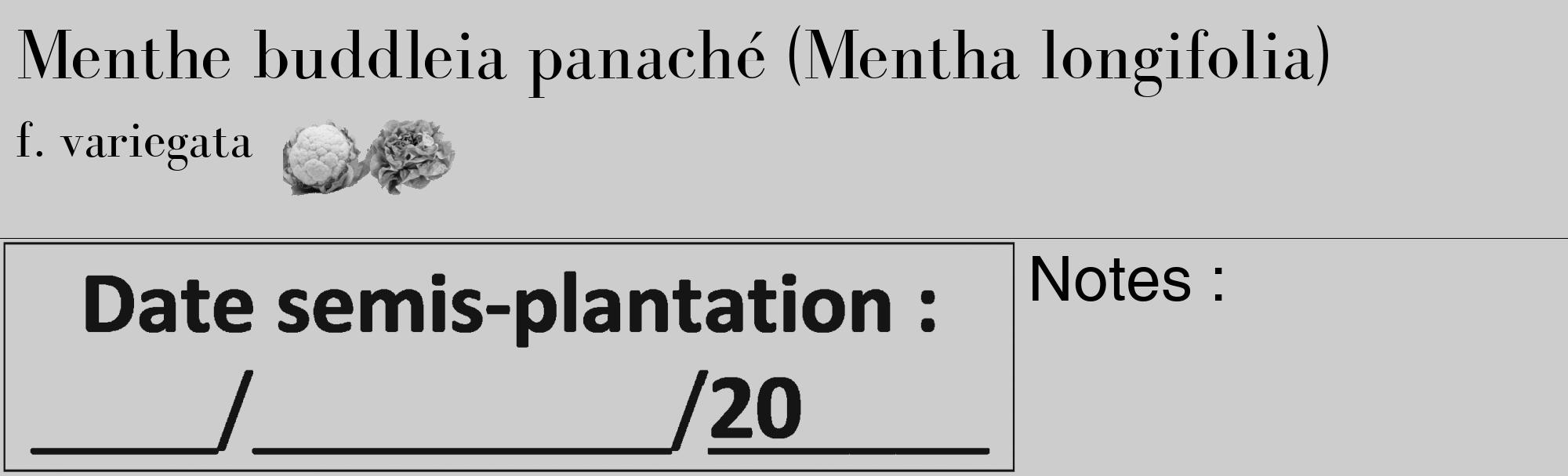Étiquette de : Mentha longifolia f. variegata - format c - style noire41_basique_basiquebod avec comestibilité simplifiée