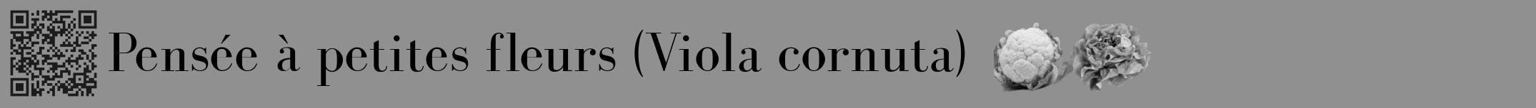 Étiquette de : Viola cornuta - format a - style noire4bod avec qrcode et comestibilité simplifiée