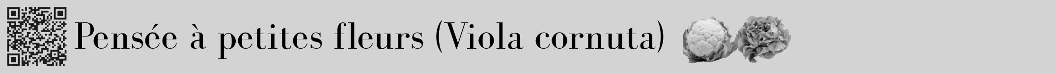Étiquette de : Viola cornuta - format a - style noire56bod avec qrcode et comestibilité simplifiée