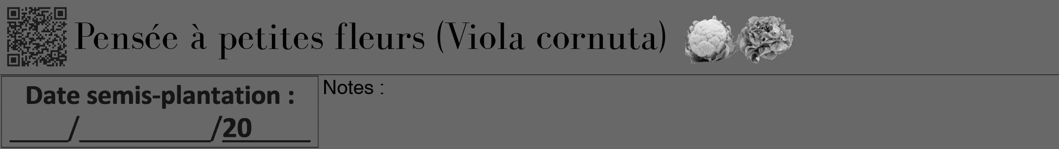 Étiquette de : Viola cornuta - format a - style noire6bod avec qrcode et comestibilité simplifiée