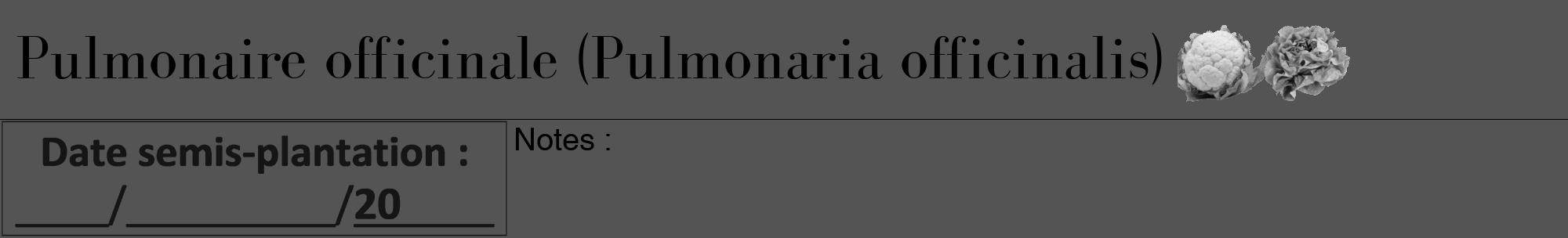Étiquette de : Pulmonaria officinalis - format a - style noire30bod avec comestibilité simplifiée