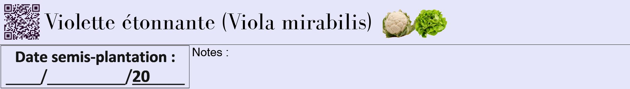 Étiquette de : Viola mirabilis - format a - style noire55bod avec qrcode et comestibilité simplifiée