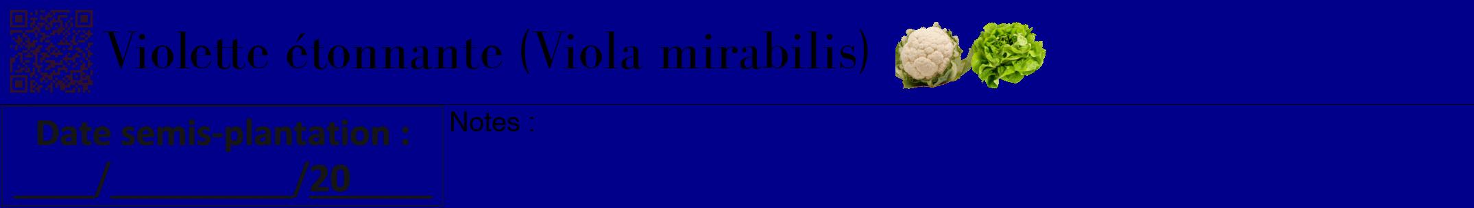 Étiquette de : Viola mirabilis - format a - style noire7bod avec qrcode et comestibilité simplifiée