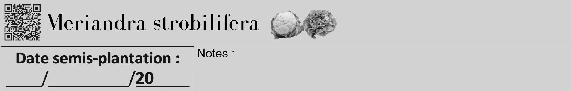 Étiquette de : Meriandra strobilifera - format a - style noire14basiquebod avec qrcode et comestibilité simplifiée