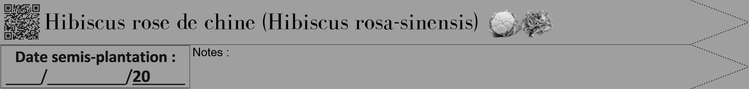 Étiquette de : Hibiscus rosa-sinensis - format b - style noire24bod avec qrcode et comestibilité simplifiée