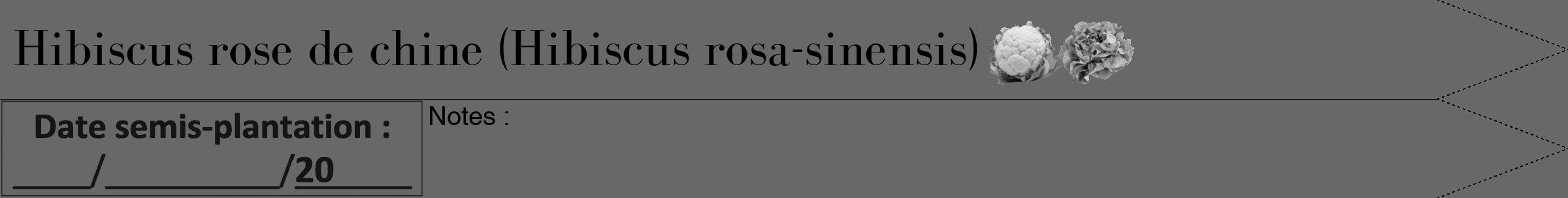 Étiquette de : Hibiscus rosa-sinensis - format b - style noire43bod avec comestibilité simplifiée