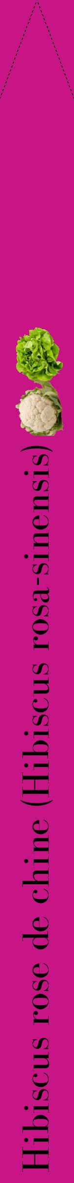 Étiquette de : Hibiscus rosa-sinensis - format b - style noire45bod avec comestibilité simplifiée