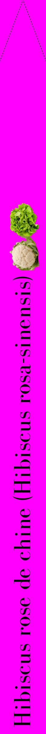 Étiquette de : Hibiscus rosa-sinensis - format b - style noire51bod avec comestibilité simplifiée
