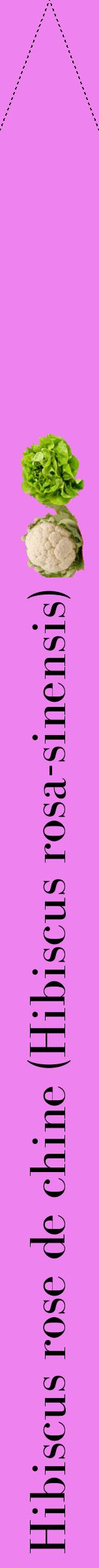 Étiquette de : Hibiscus rosa-sinensis - format b - style noire53bod avec comestibilité simplifiée