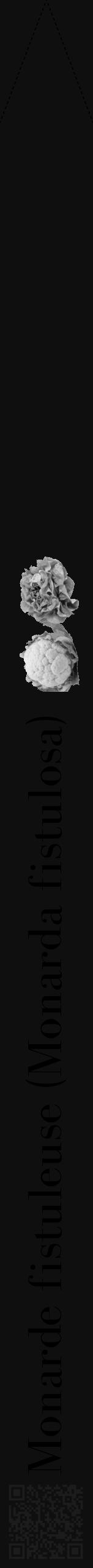 Étiquette de : Monarda fistulosa - format b - style noire7bod avec qrcode et comestibilité simplifiée - position verticale