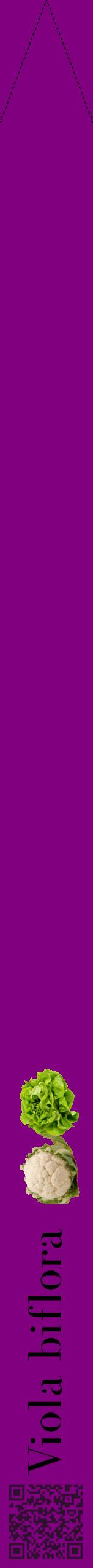 Étiquette de : Viola biflora - format b - style noire46bod avec qrcode et comestibilité simplifiée