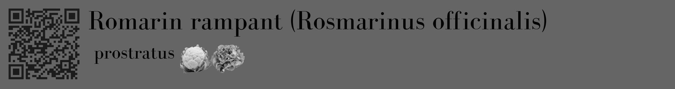 Étiquette de : Rosmarinus officinalis prostratus - format c - style noire32_basique_basiquebod avec qrcode et comestibilité simplifiée