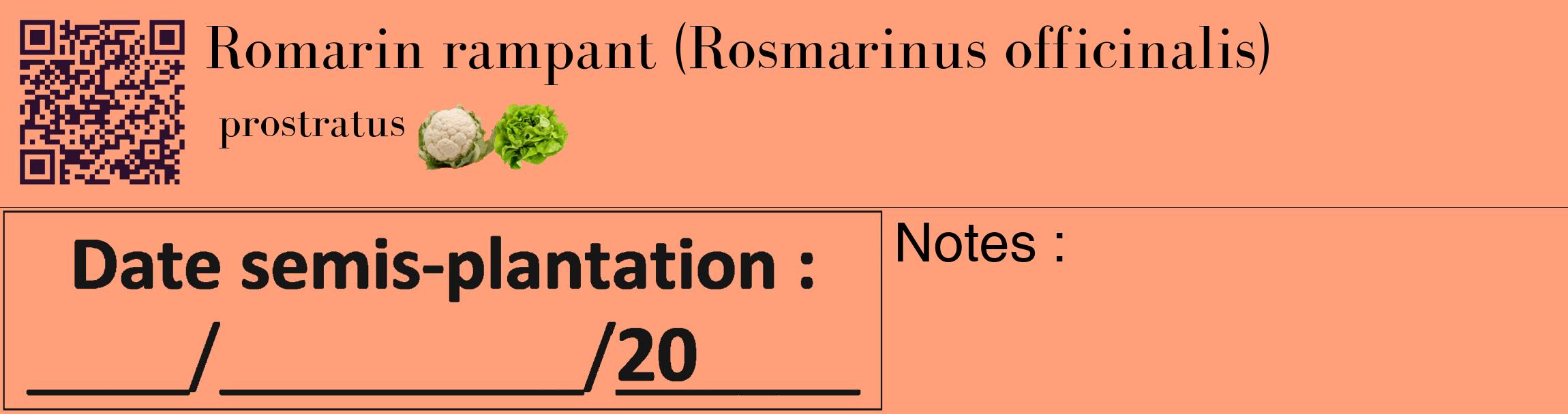 Étiquette de : Rosmarinus officinalis prostratus - format c - style noire39_basique_basiquebod avec qrcode et comestibilité simplifiée