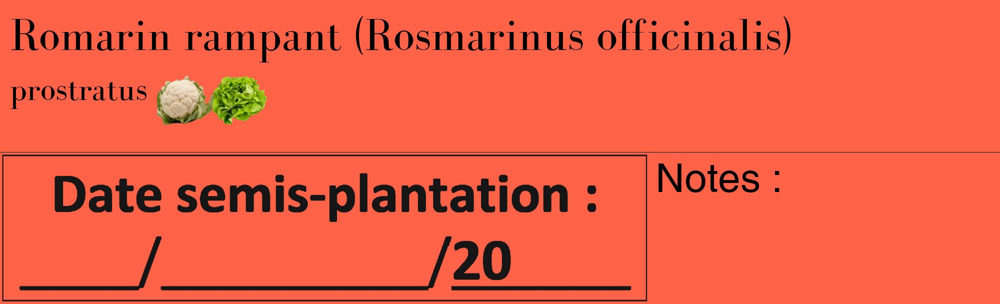 Étiquette de : Rosmarinus officinalis prostratus - format c - style noire25_basique_basiquebod avec comestibilité simplifiée