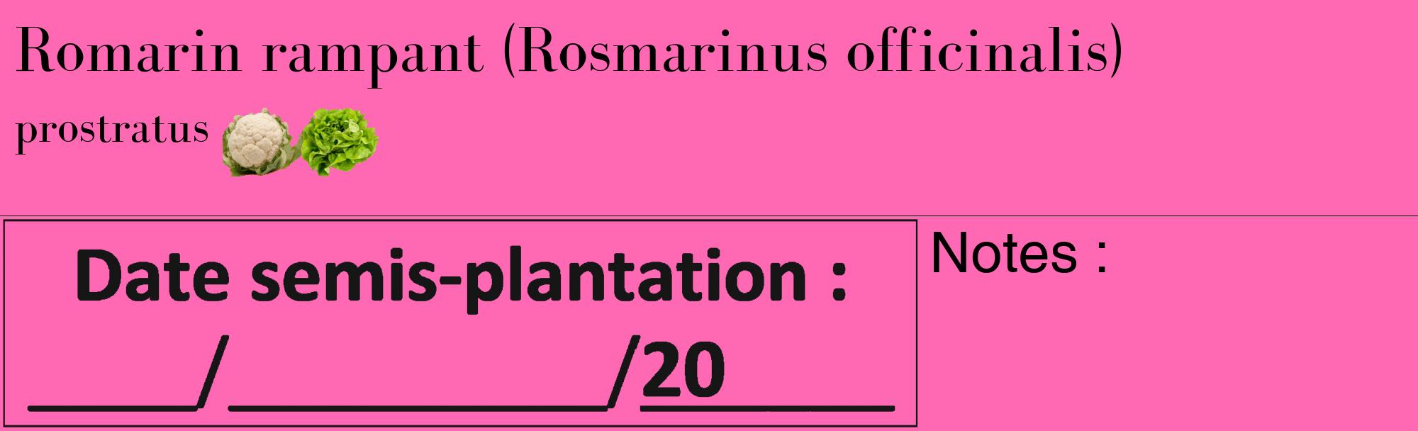 Étiquette de : Rosmarinus officinalis prostratus - format c - style noire42basique_basique_basiquebod avec comestibilité simplifiée