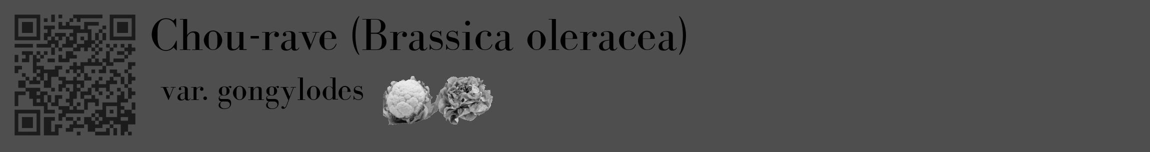 Étiquette de : Brassica oleracea var. gongylodes - format c - style noire33_basique_basiquebod avec qrcode et comestibilité simplifiée