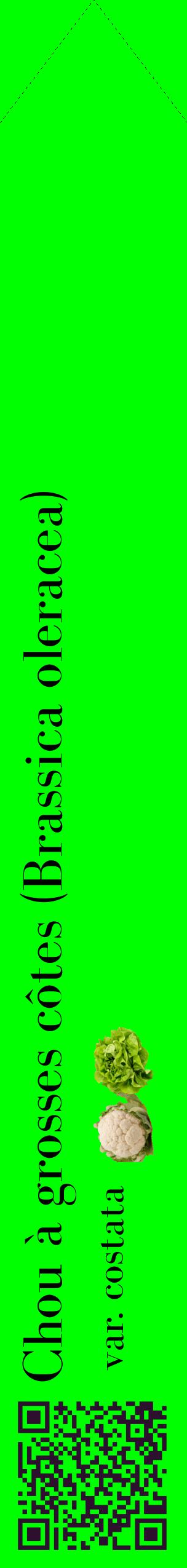 Étiquette de : Brassica oleracea var. costata - format c - style noire16_simplebod avec qrcode et comestibilité simplifiée