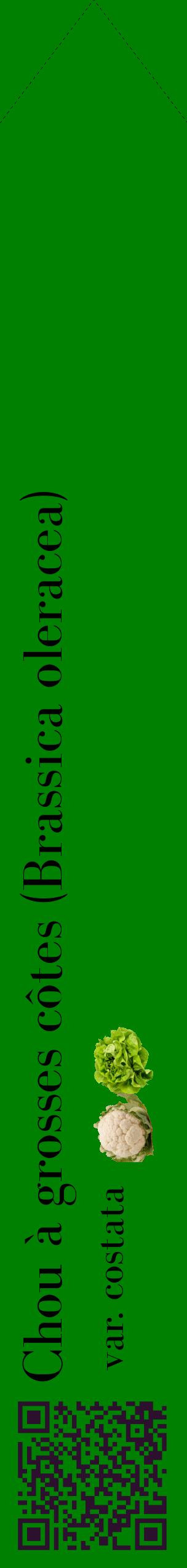 Étiquette de : Brassica oleracea var. costata - format c - style noire9_simplebod avec qrcode et comestibilité simplifiée