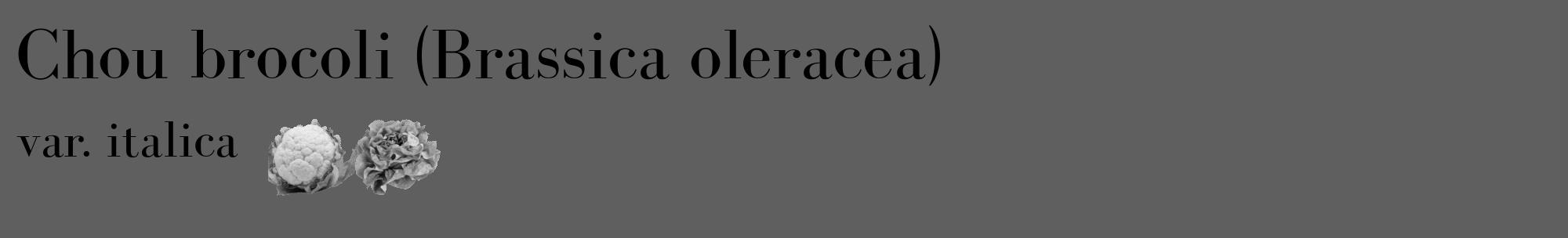 Étiquette de : Brassica oleracea var. italica - format c - style noire10_basique_basiquebod avec comestibilité simplifiée