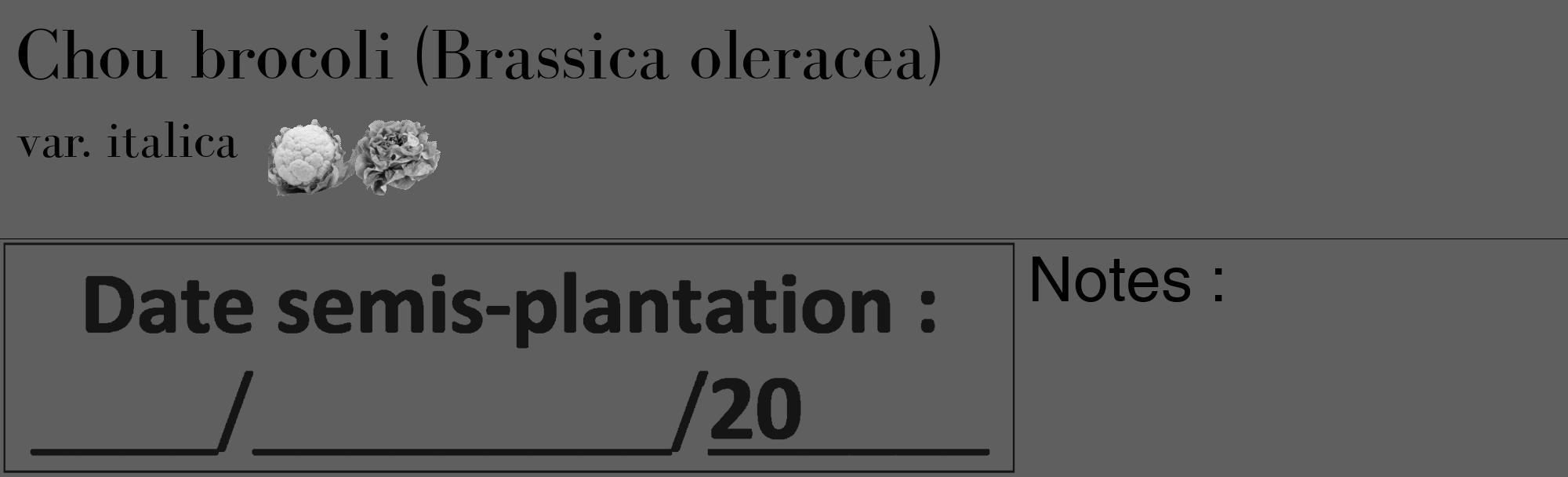 Étiquette de : Brassica oleracea var. italica - format c - style noire10_basique_basiquebod avec comestibilité simplifiée