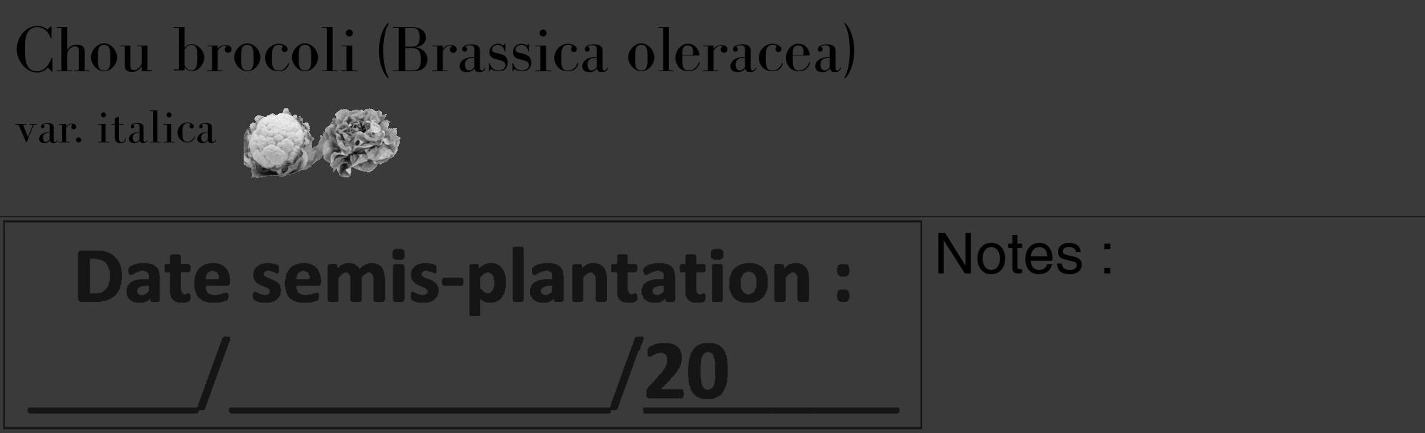 Étiquette de : Brassica oleracea var. italica - format c - style noire8_basique_basiquebod avec comestibilité simplifiée