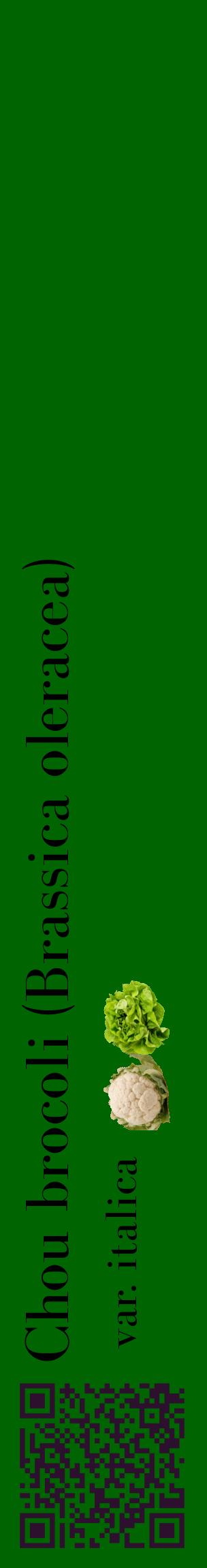Étiquette de : Brassica oleracea var. italica - format c - style noire8_basiquebod avec qrcode et comestibilité simplifiée
